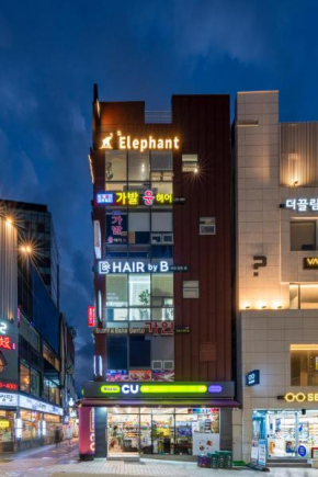 Elephant